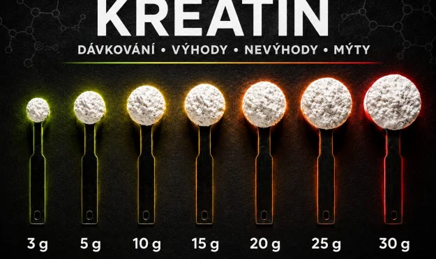 Kreatin: dávkování, výhody, nevýhody a nejčastější mýty